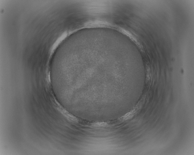 X0000075331462200609250935