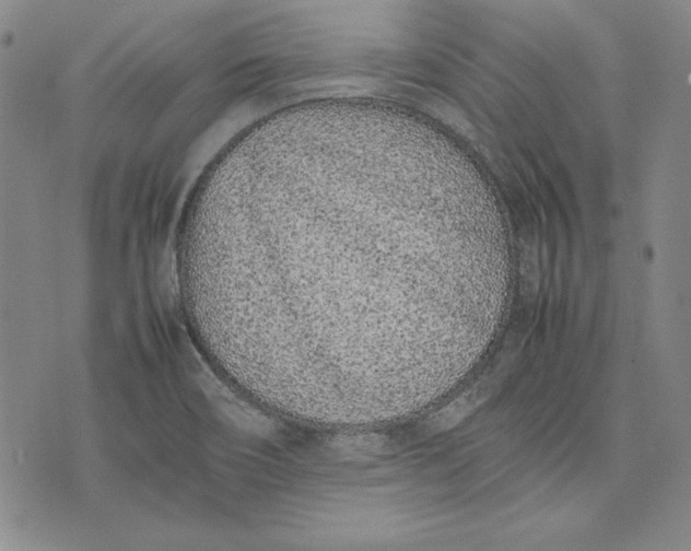 X0000075331466200609250935