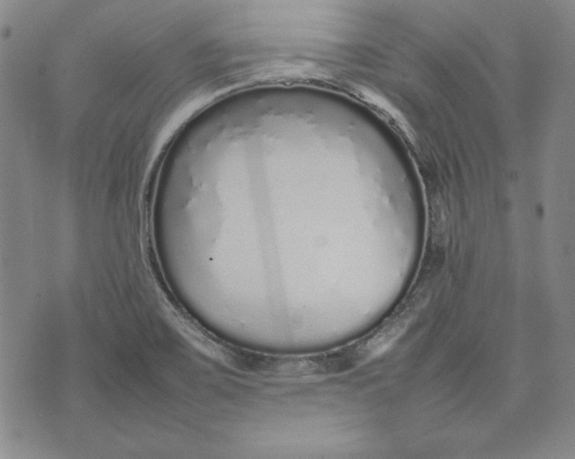 X0000075331467200609250935