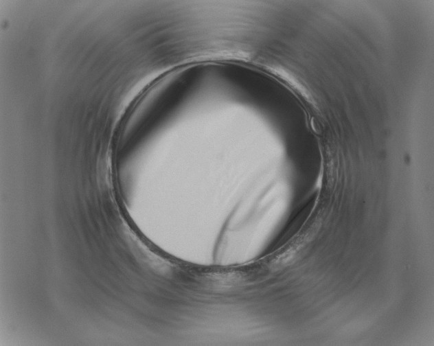 X0000075331468200609250935