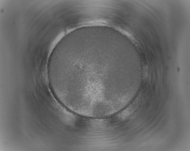 X0000075331470200609250935