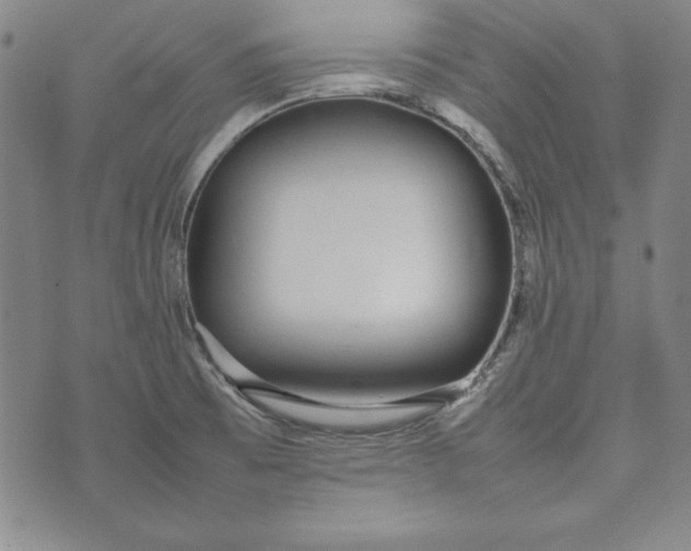 X0000075331473200609250935