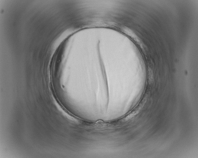 X0000075331479200609250934