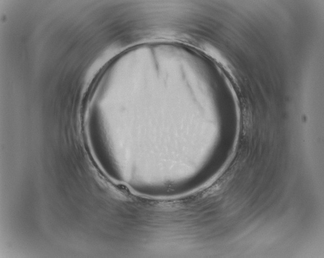 X0000075331480200609250934