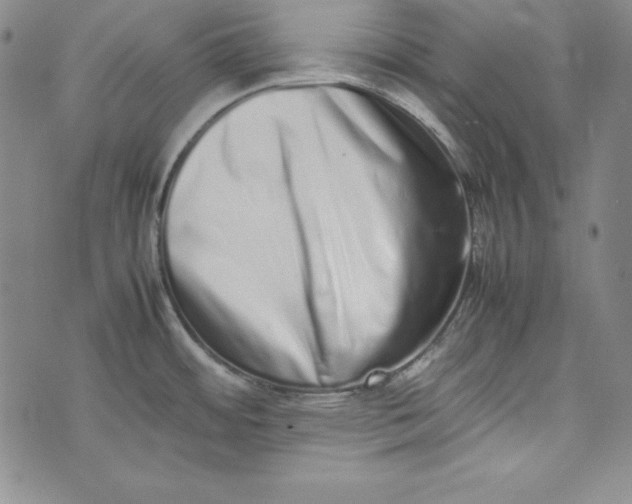 X0000075331484200609250934