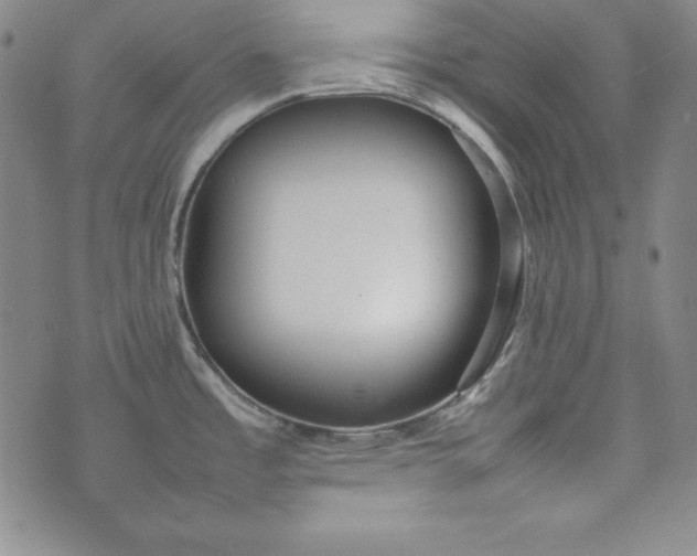 X0000075331485200609250934