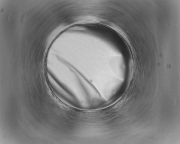 X0000075331488200609250934