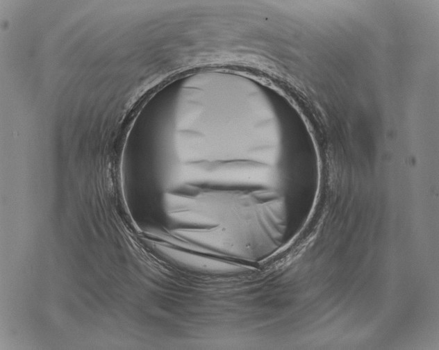 X0000075331497200609250934