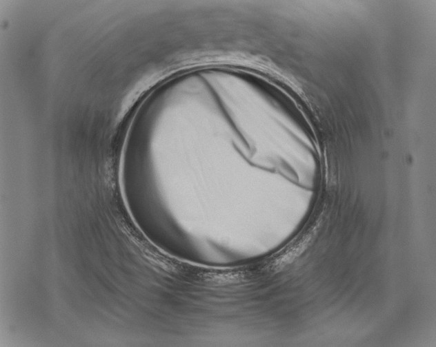 X0000075331501200609250934