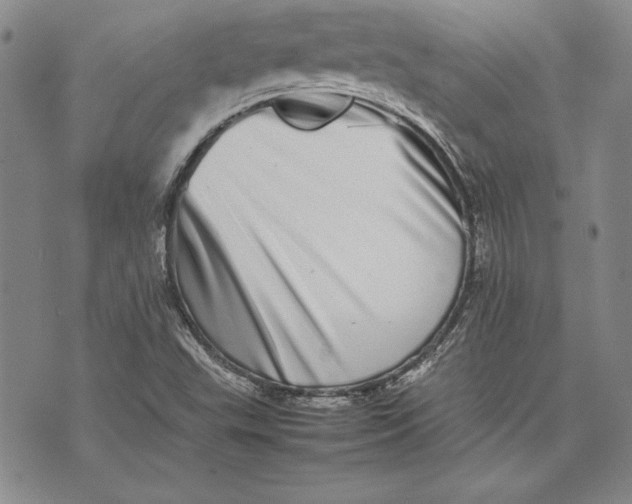 X0000075331503200609250934
