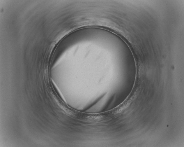 X0000075331513200609250934