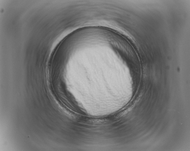 X0000075331517200609250934