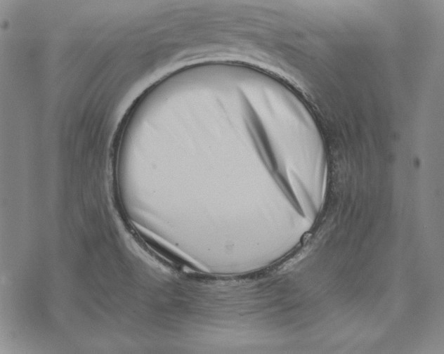 X0000075331518200609250934