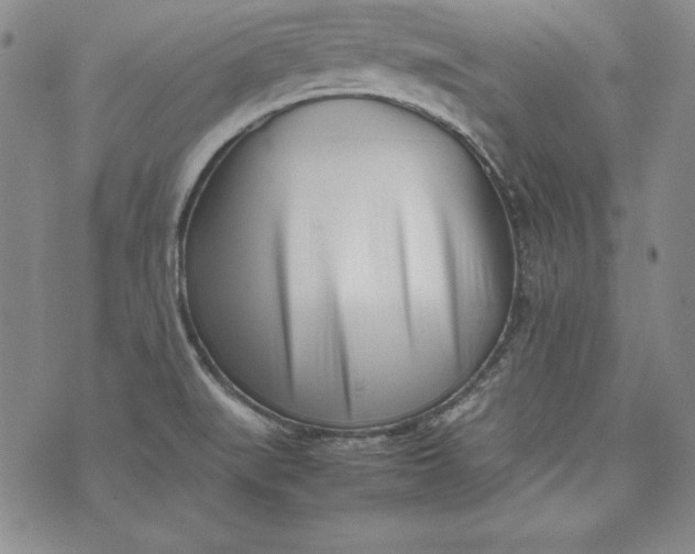 X0000075331519200609250934