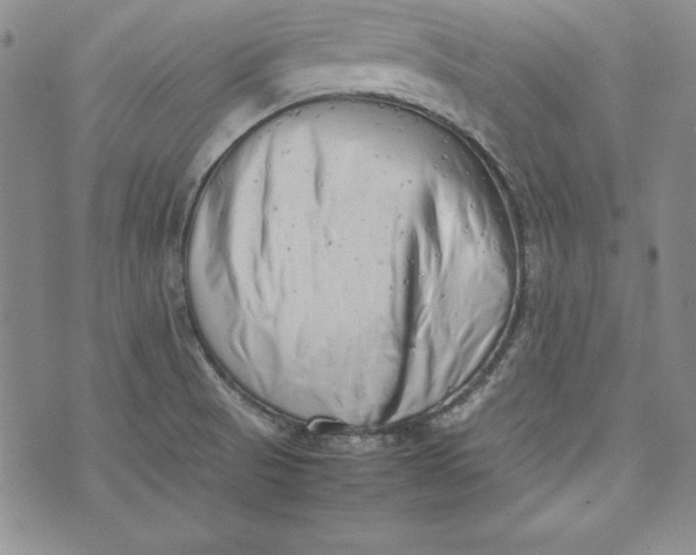 X0000075331521200609250934