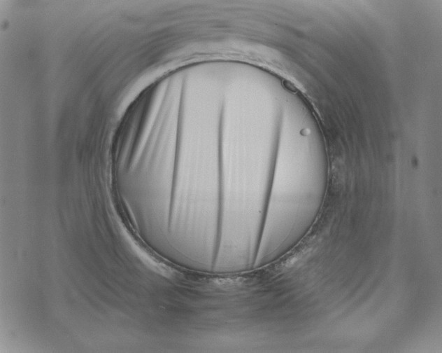 X0000075331523200609250934