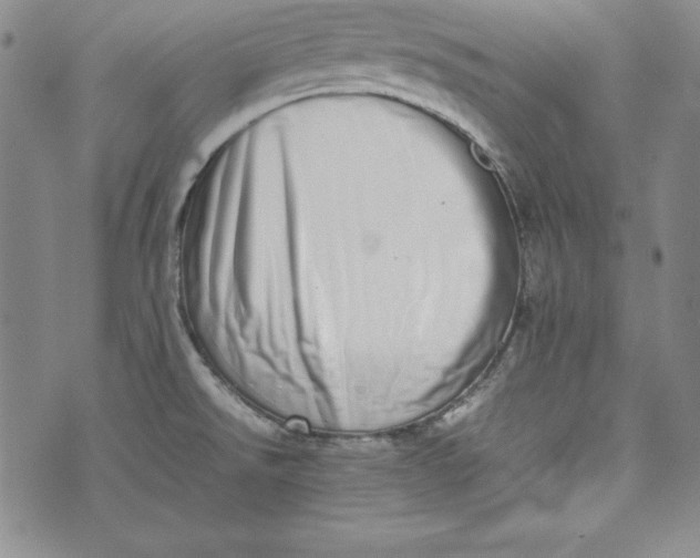 X0000075331526200609250934