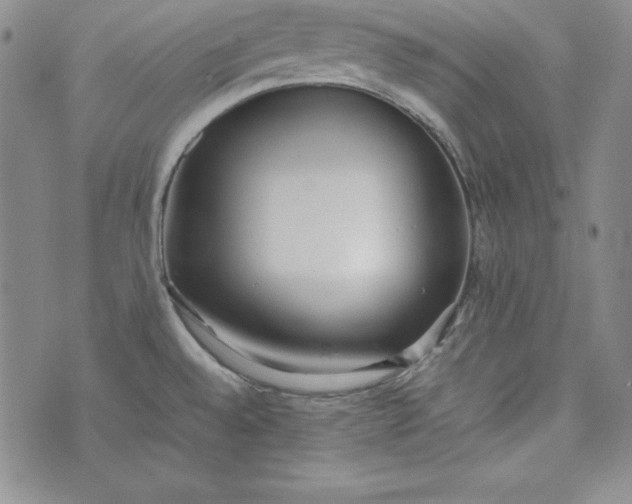 X0000075331528200609250934