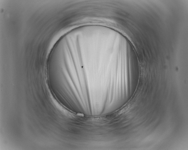 X0000075331531200609250934
