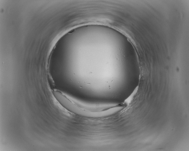 X0000075331532200609250934