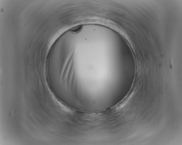 X0000075331533200609250934