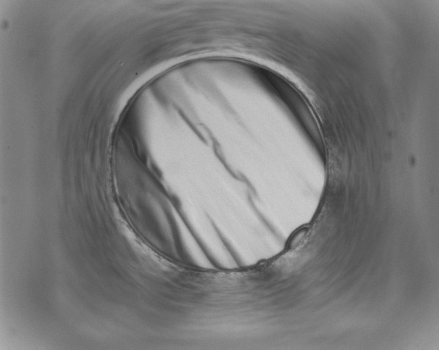 X0000075331534200609250934