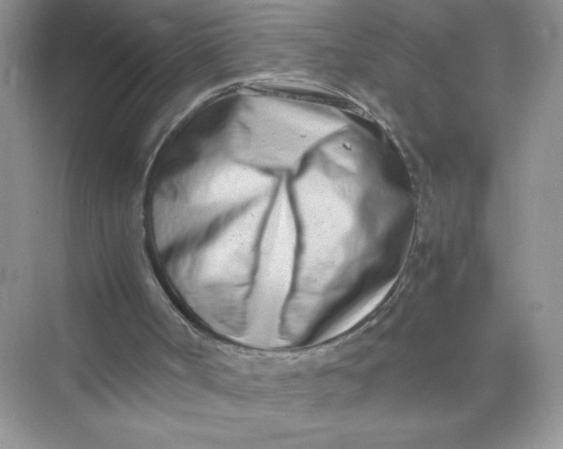X0000075330002200609292021