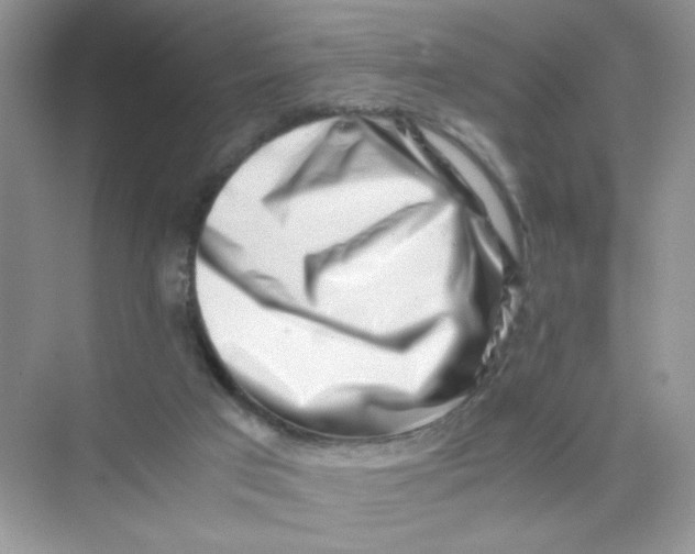 X0000075330017200609292020