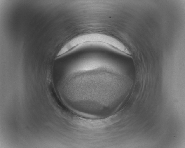 X0000075330031200609292020