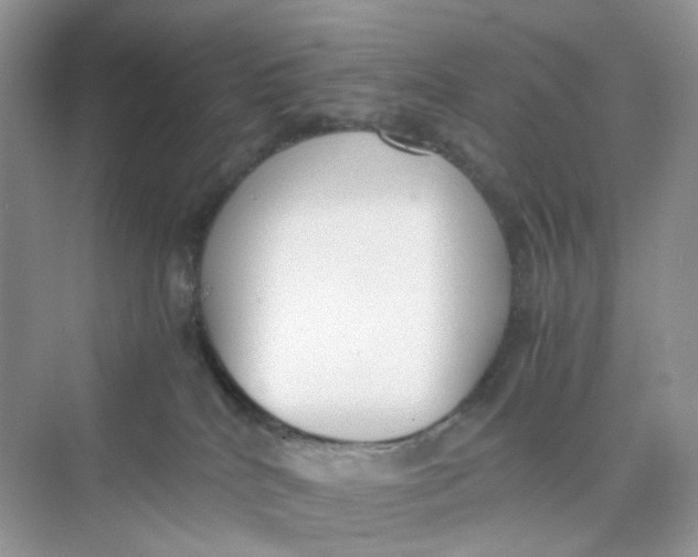 X0000075330040200609292020
