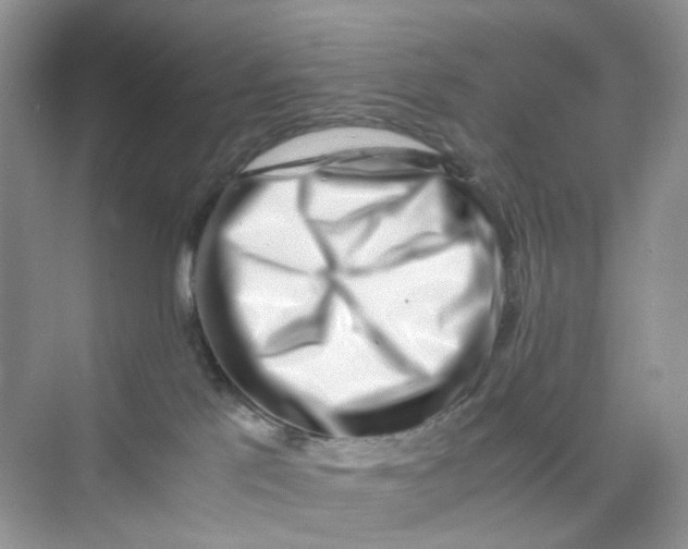 X0000075330041200609292020