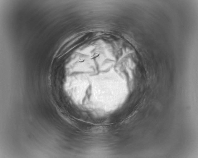 X0000075330050200609292019