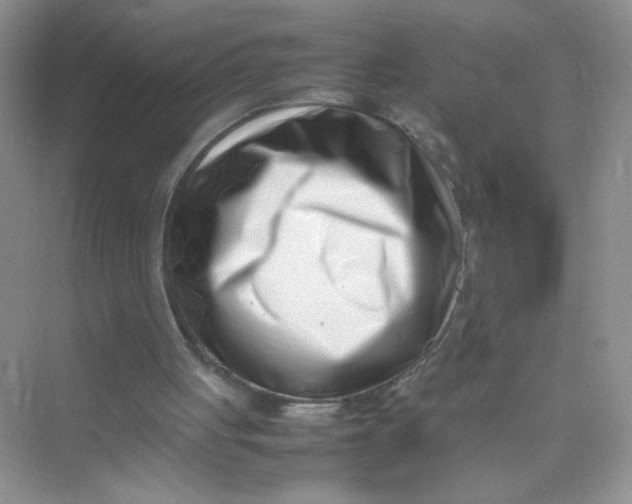 X0000075330051200609292019