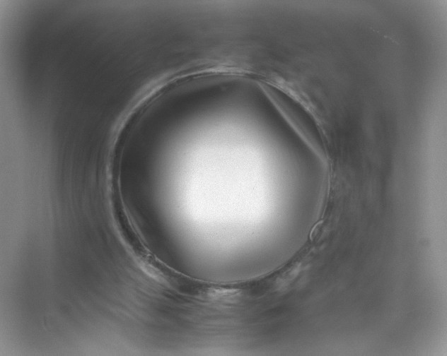 X0000075330055200609292019