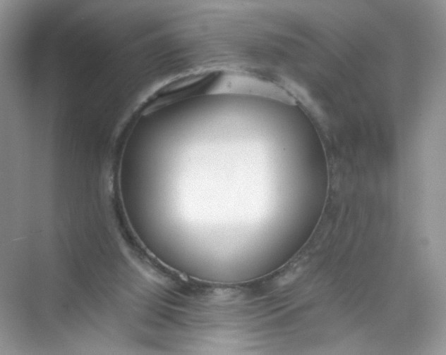 X0000075330060200609292019