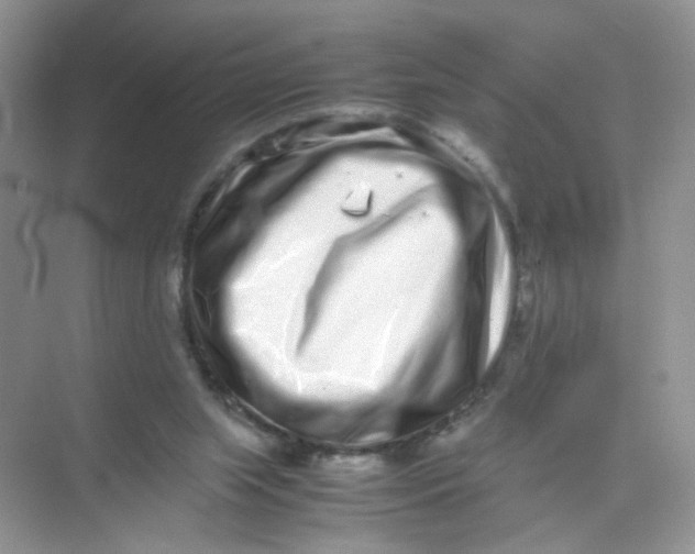 X0000075330063200609292019