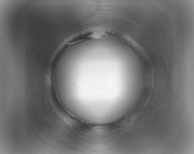 X0000075330064200609292019