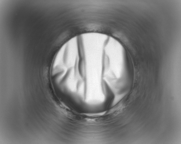 X0000075330066200609292019