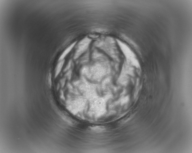X0000075330067200609292019