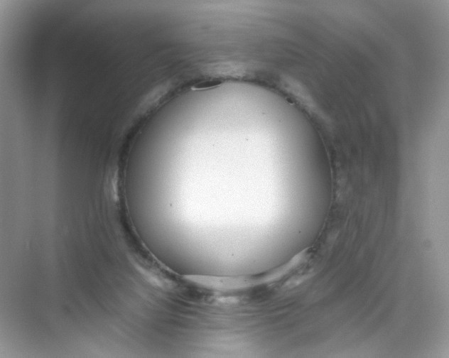 X0000075330068200609292019