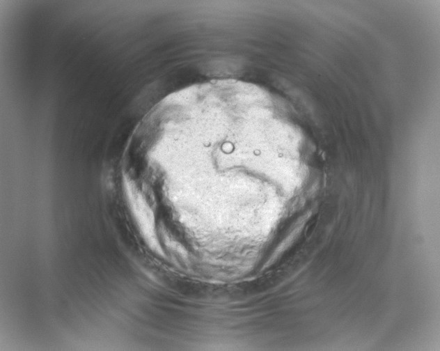 X0000075330069200609292019