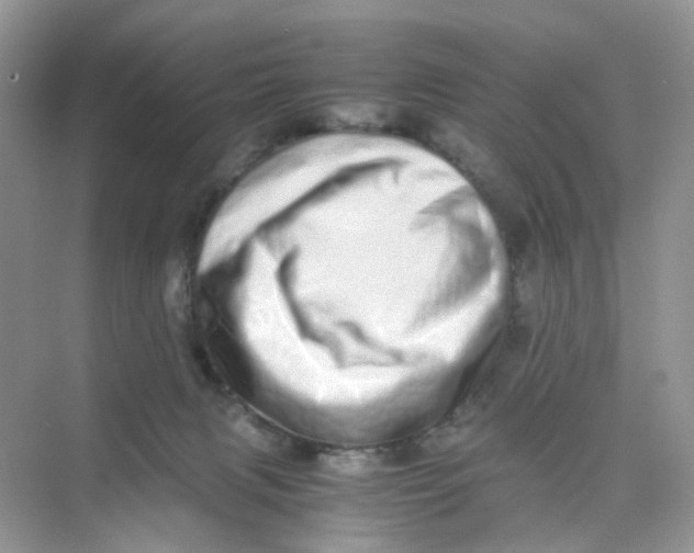X0000075330079200609292019