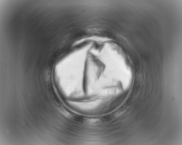 X0000075330081200609292019