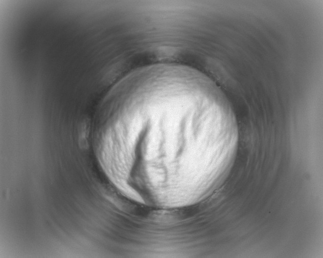 X0000075330082200609292020