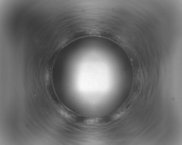X0000075330084200609292020