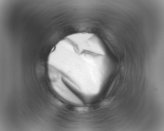 X0000075330085200609292020