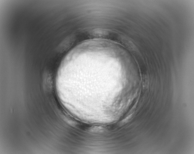 X0000075330086200609292020