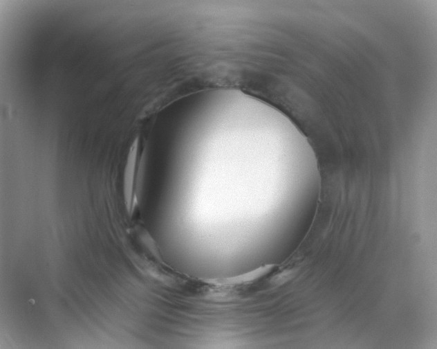 X0000075330088200609292020