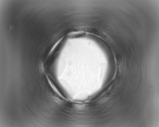 X0000075330089200609292020