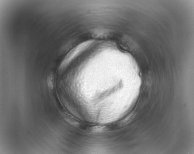 X0000075330090200609292020